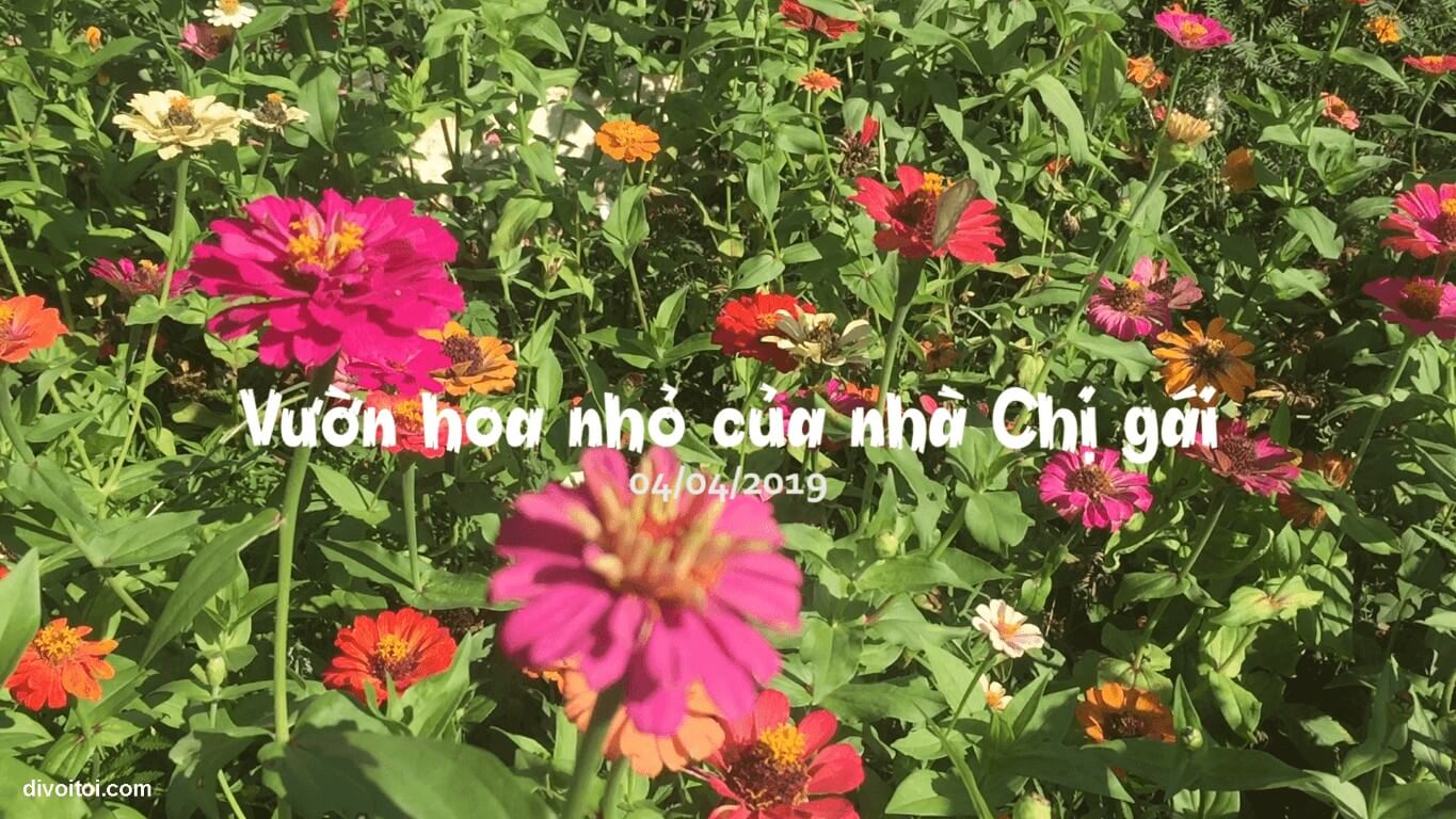 Vườn Hoa Nhỏ Nhà Chị Gái